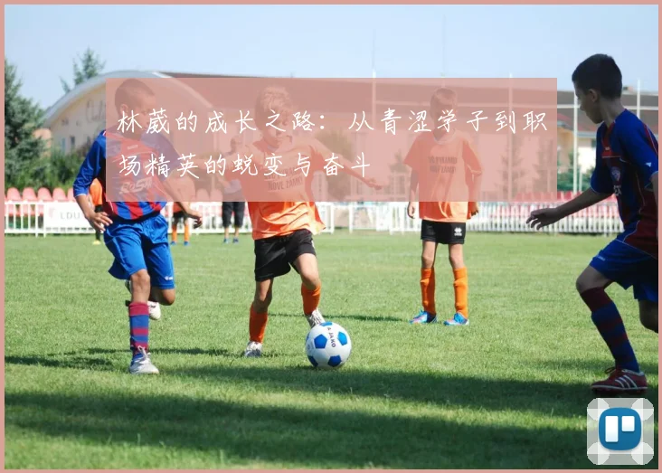 林葳的成长之路：从青涩学子到职场精英的蜕变与奋斗