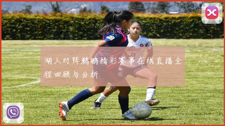 湖人对阵鹈鹕精彩赛事在线直播全程回顾与分析